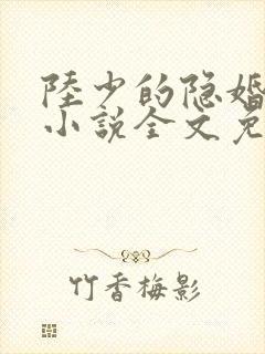 陆少的隐婚罪妻小说全文免费阅读