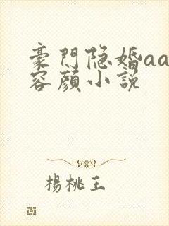 豪门隐婚aa制容颜小说封面