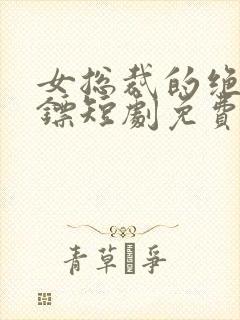 女总裁的绝世保镖短剧免费观看全集