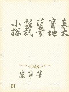 小说萌宝来袭:总裁爹地太难缠