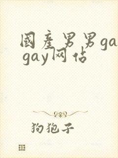 国产男男gay gay网站