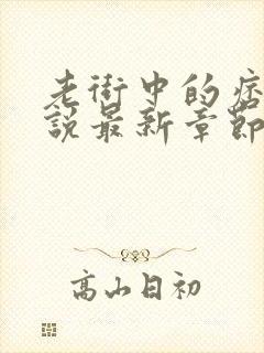 老街中的痞子小说最新章节封面