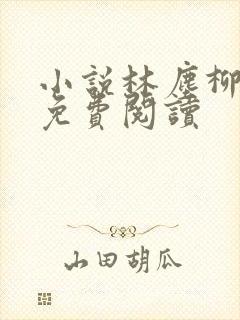 小说林尘柳如烟免费阅读封面