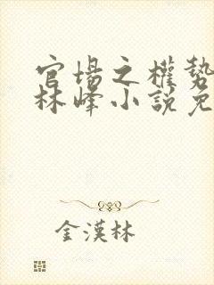 官场之权势滔天林峰小说免费阅读封面