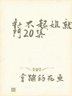 对不起姐就是豪门20集