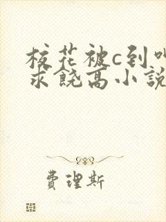 校花被c到呻吟求饶高小说