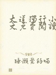 大道独行小说全文免费阅读