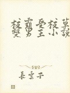 校霸受校草攻的双男主小说封面