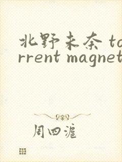 北野未奈 torrent magnet封面