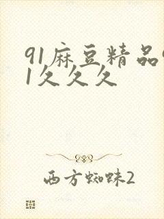 91麻豆精品91久久久封面