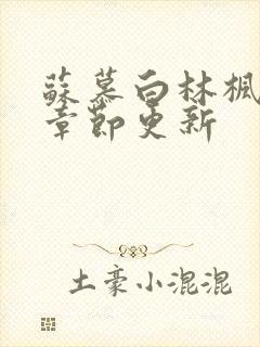 苏慕白林枫最新章节更新