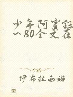 少年阿宾钰慧1～80全文在线阅读封面