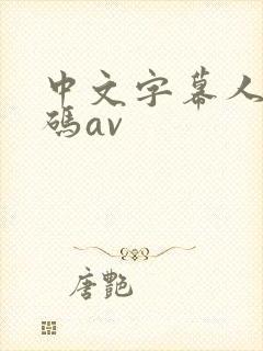 中文字幕人妻有码av