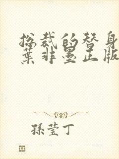 总裁的替身前妻叶非墨正版