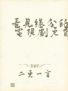 看见缘分的少女 电视剧免费观看