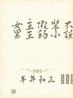 女主假装不认识男主的小说封面