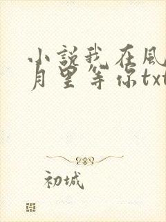 小说我在风花雪月里等你txt下载