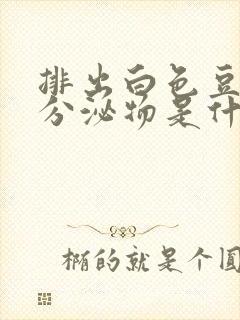 排出白色豆腐渣分泌物是什么原因封面