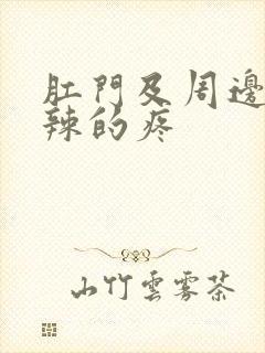 肛门及周边火辣辣的疼