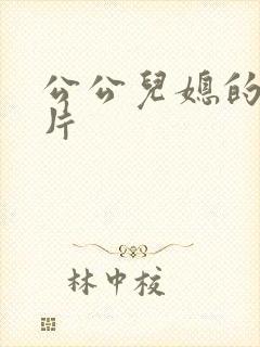 公公儿媳的伦理片