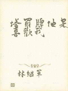 塔罗牌他是不是喜欢我封面