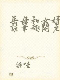 岳母和女婿的小说笔趣阁免费阅读全文