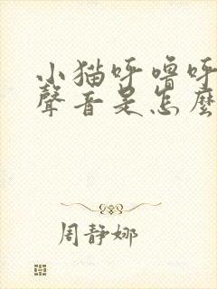 小猫呼噜呼噜的声音是怎么回事