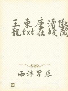王东唐潇傲世潜龙txt在线阅读