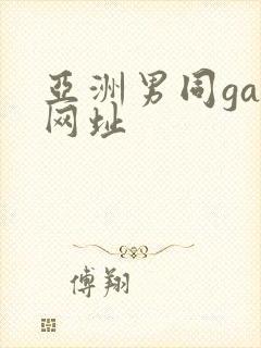 亚洲男同gay网址