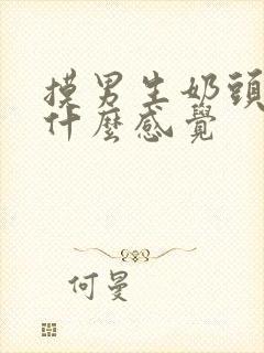 摸男生奶头他是什么感觉