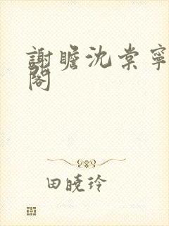 谢瞻沈棠宁笔趣阁封面