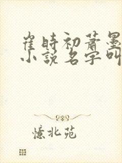 崔时初萧墨染的小说名字叫什么