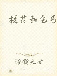 校花和乞丐后续