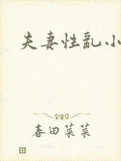 夫妻性乱小说封面