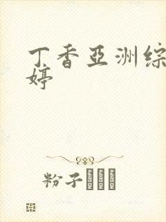 丁香亚洲综合婷婷