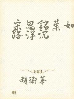 宋思铭叶如云官路浮沉封面