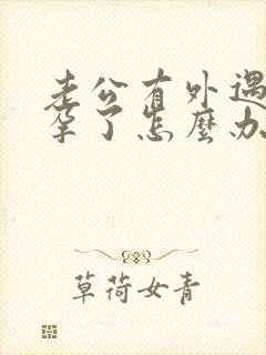 老公有外遇还怀孕了怎么办