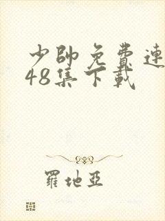 少帅免费连续剧48集下载