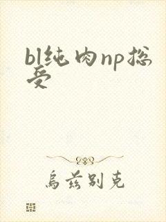 bl纯肉np总受