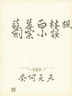 苏慕白林枫神霄剑宗小说