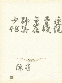 少帅免费连续剧48集在线观看高清版