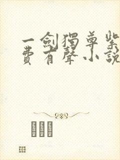 一剑独尊紫襟免费有声小说