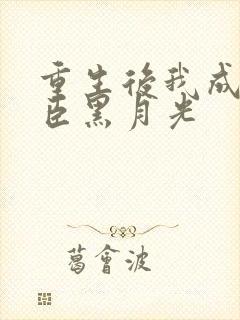 重生后我成了权臣黑月光