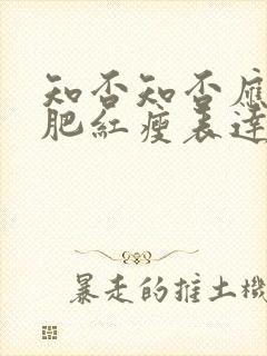 知否知否应是绿肥红瘦表达了什么感情