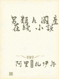 另类 h 国产 在线 小说