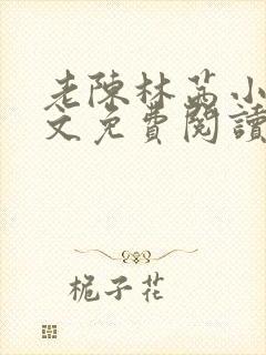 老陈林茜小说全文免费阅读