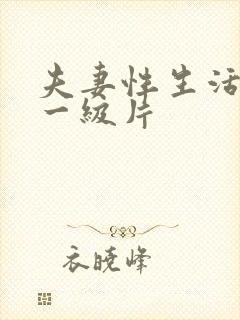 夫妻性生活黄色一级片封面