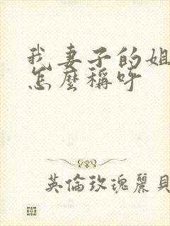 我妻子的姐姐我怎么称呼封面