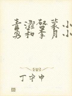 青涩启蒙小说张勇和李月小说封面