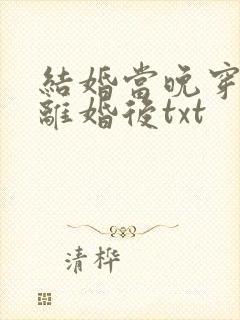 结婚当晚穿越到离婚后txt封面
